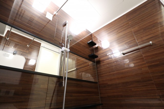 白金台桜苑マンション (63)バスルーム