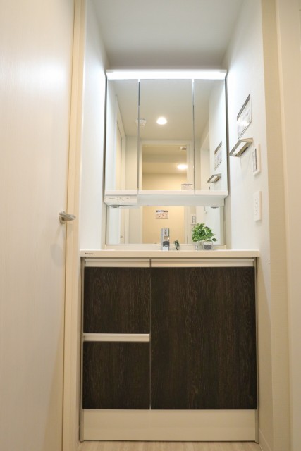 初台ハイホーム 洗面室