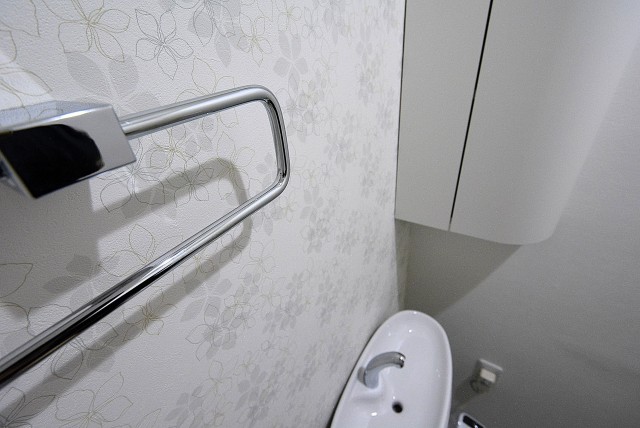 朝日瀬田マンション トイレ