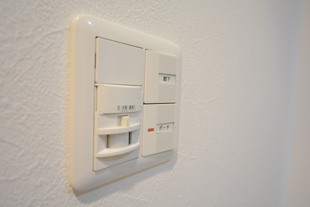 プレジール新宿大久保 玄関