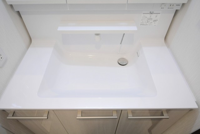 プレジール新宿大久保 洗面室