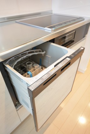 プレジール新宿大久保 キッチン