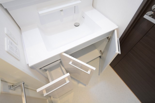 プレジール新宿大久保 洗面室