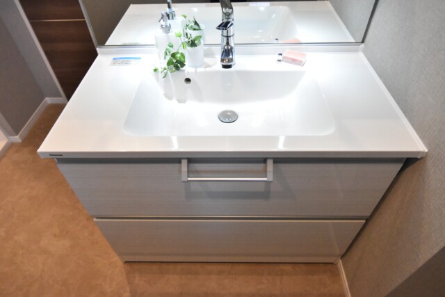 シルバーパレス白金台 洗面室