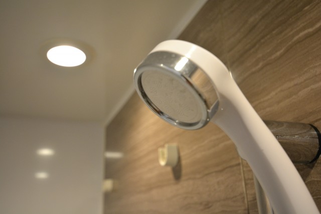 プレジール新宿大久保 浴室