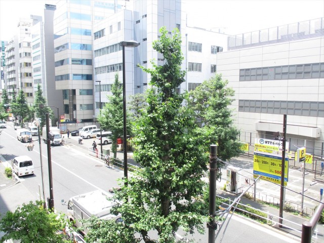 ヴィア・シテラ新宿　バルコニー