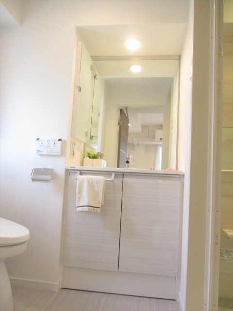 ヴィア・シテラ新宿　水廻り洗面所