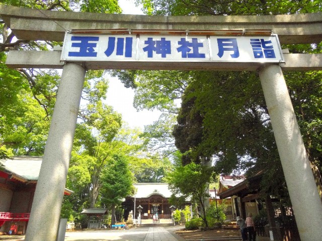 秀和等々力レジデンス　玉川神社