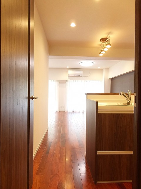 ラポール駒込　21.4帖LDK入口