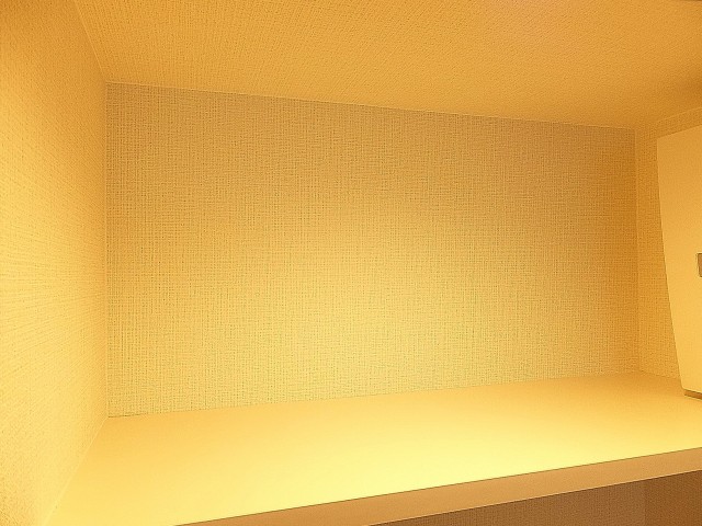 グランドメゾン目黒　ランドリースペースの棚