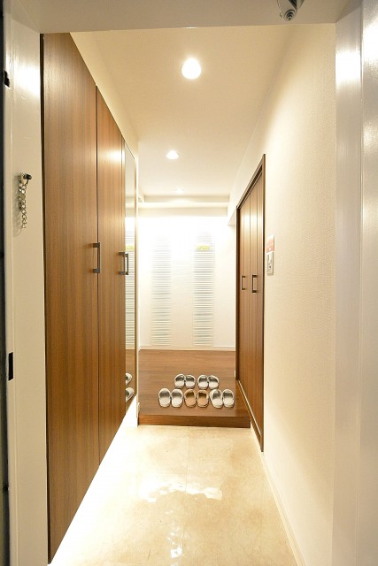 ハイネス麻布801_玄関