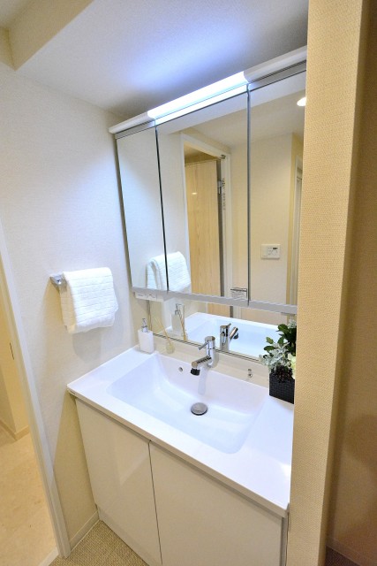 菱和パレス下北沢駅前　洗面台