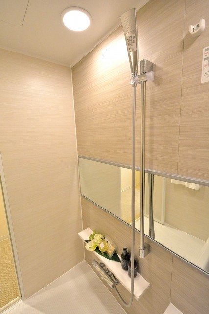 菱和パレス下北沢駅前　バスルーム