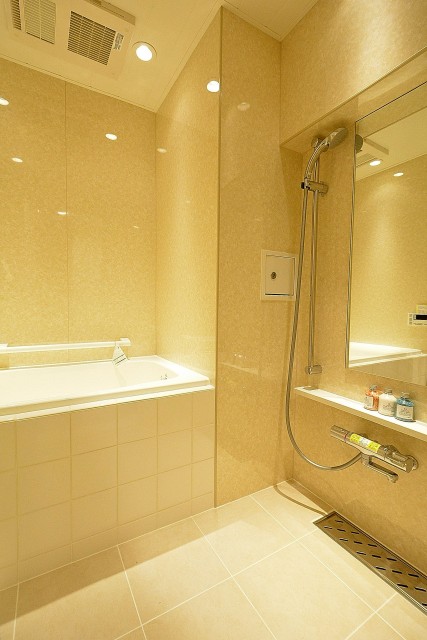 ハイネス麻布801_バスルーム