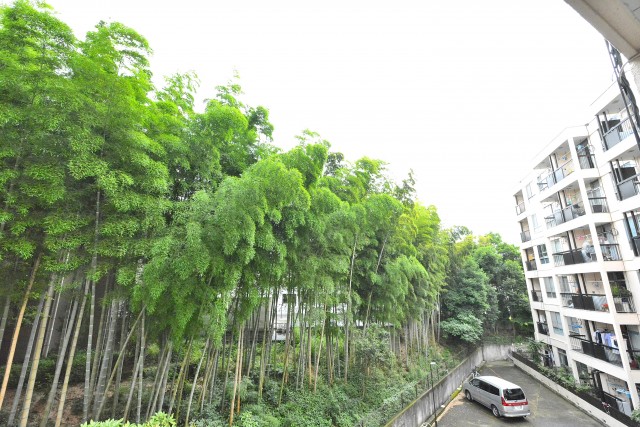 久我山コーポラス　バルコニー