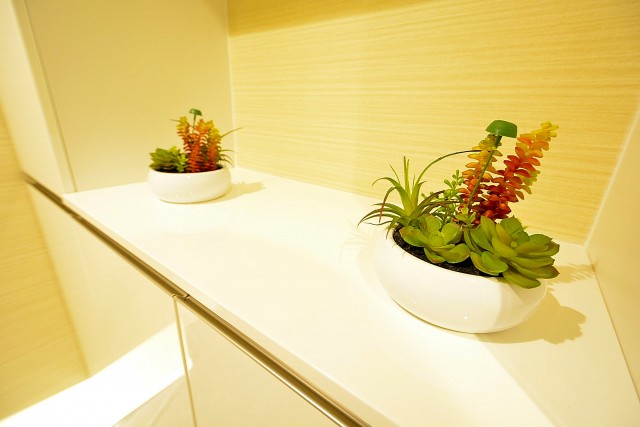 豊栄西荻マンション　シューズＢＯＸカウンター