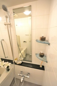 日神デュオステージ新宿若松町　バスルーム