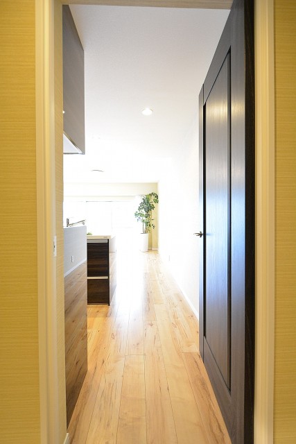 豊栄西荻マンション　4.8帖洋室LDKドア