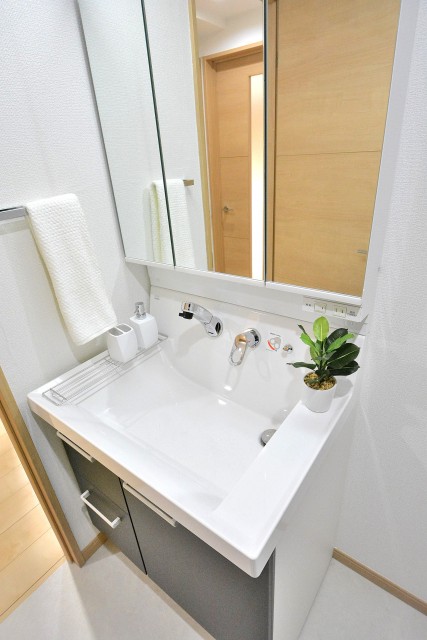 シャンピア北沢　洗面台