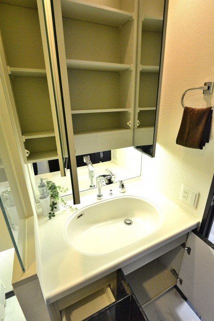 シュロス中野　洗面台