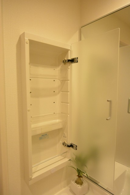 エザンス高井戸　洗面所収納