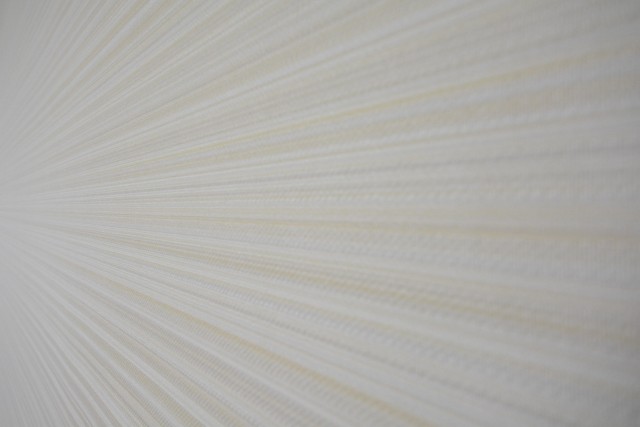 エザンス高井戸　洋室