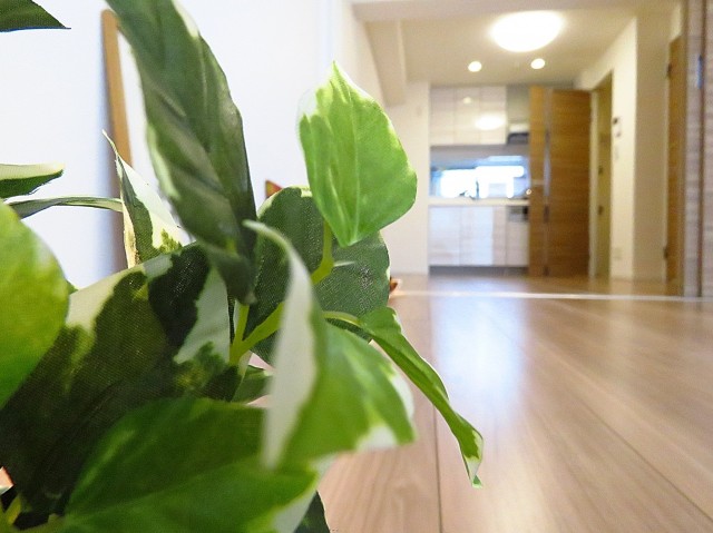 ハイライフ大森　ダイニングキッチン+洋室