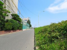 ハイネス尾山台　前面道路