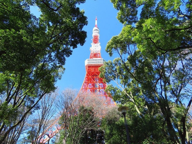 ディアナコート三田　東京タワー