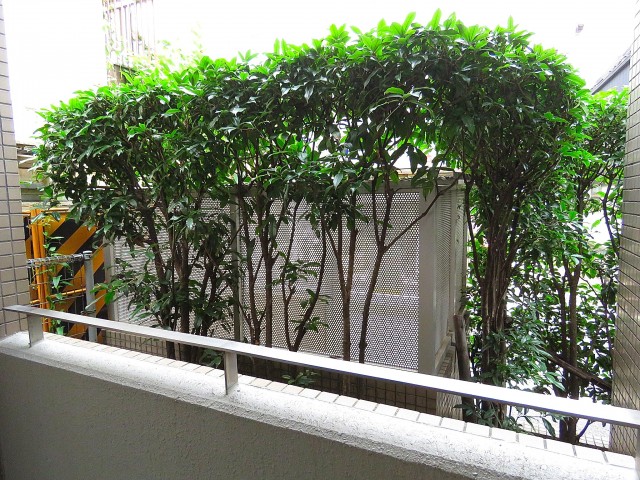 サーパス祖師谷大蔵　眺望