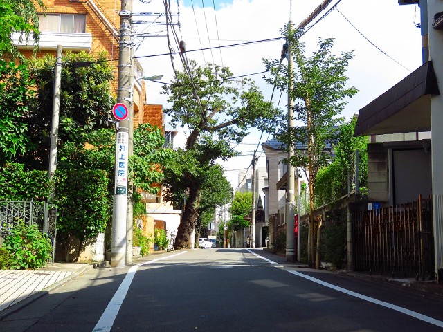 コーポ大岡山　前面道路