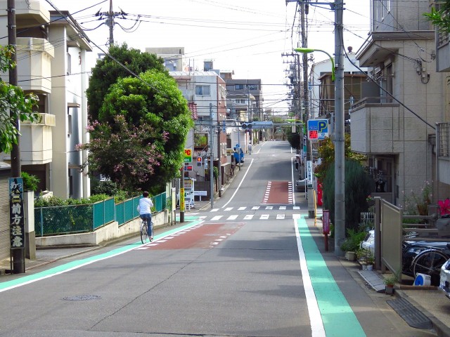 ライオンズマンション桜新町　前面道路