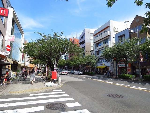 ライオンズマンション桜新町　駅前通り