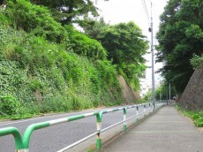 サンライン成城ハイツ　成城通り