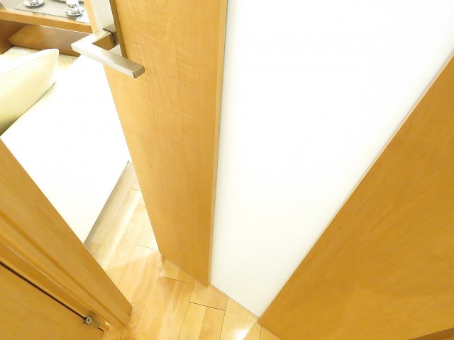 西新宿ダイヤモンドパレス　LDK扉