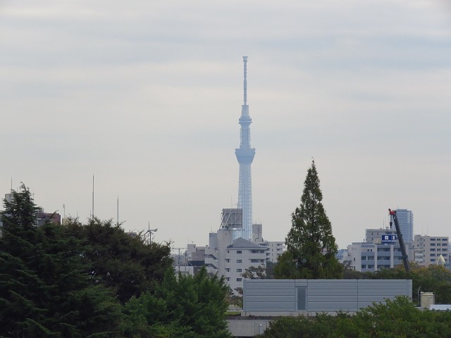 サトミビル　眺望