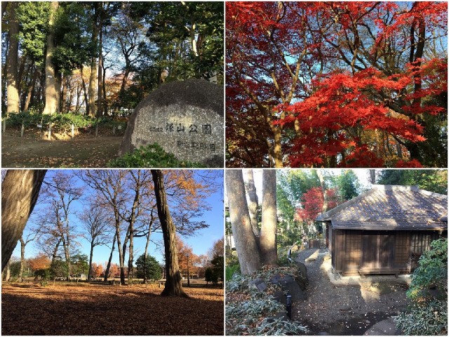 シーアイマンション桜上水 周辺環境 シーアイマンション桜上水 周辺環境