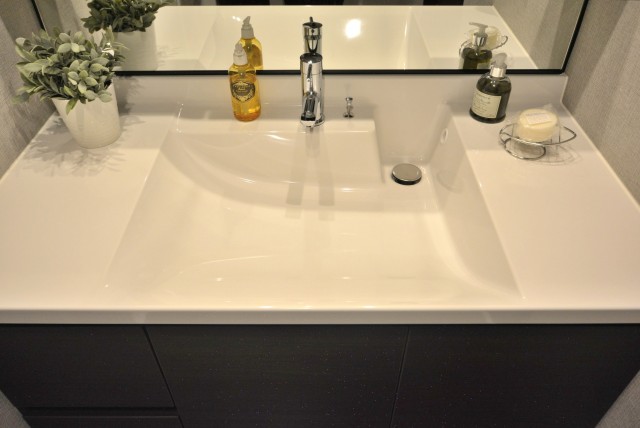 エクレールガーデン富士見ヶ丘 洗面室