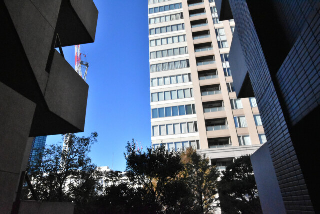 ディアナコート三田 洋室