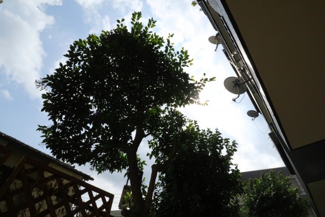 初台ハイホーム バルコニー