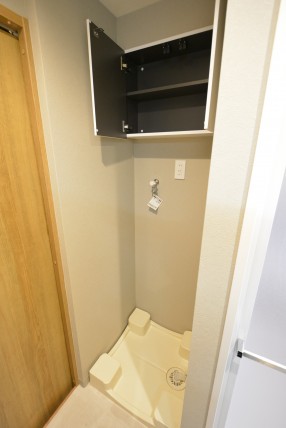 パレドール目白 洗面室