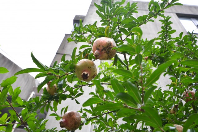 プレジール新宿大久保 駅から
