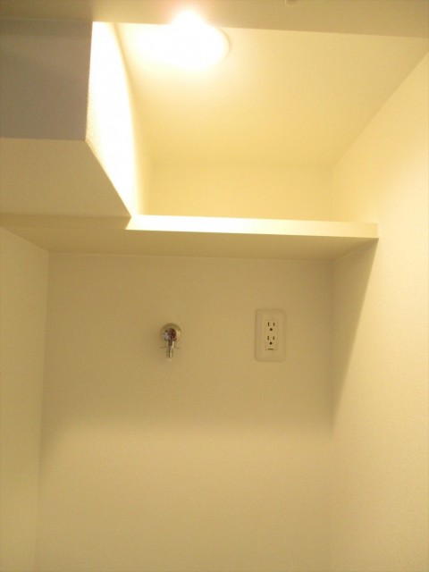 ヴィア・シテラ新宿　水廻り洗面所