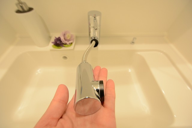 マンションヴィップ等々力 洗面