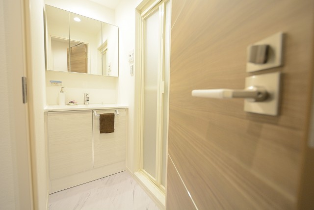 マンションヴィップ等々力 洗面