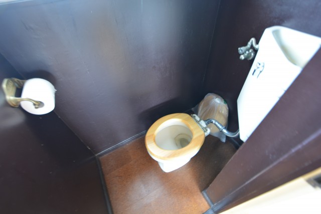 マンション恵比寿苑 (22)シャワー・トイレ