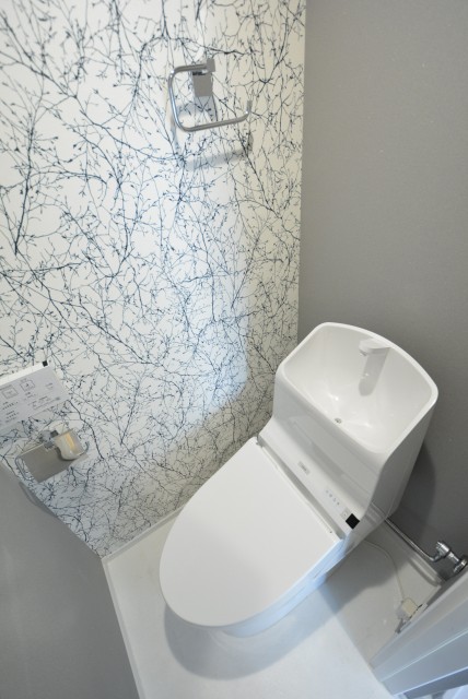 フラワーヒル目黒 トイレ