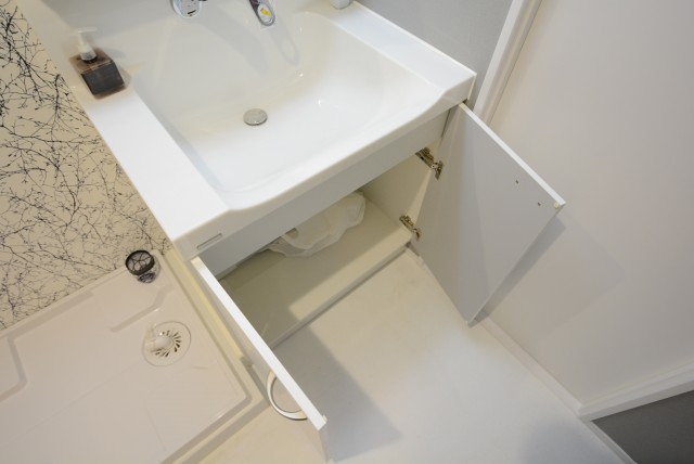 フラワーヒル目黒 洗面室