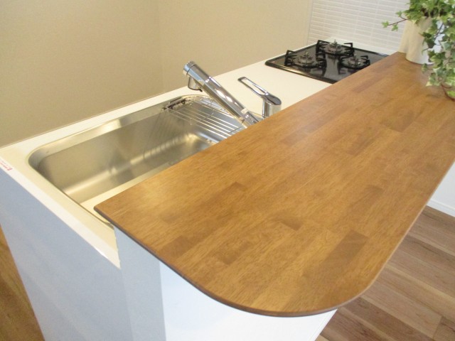 多摩川芙蓉ハイツ　4キッチン4