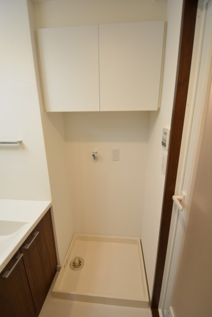 コスモ自由が丘 洗面室